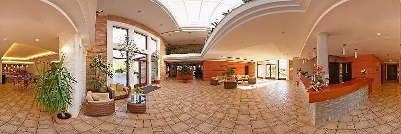 布达佩斯机场斯塔西奥高级健康及会议中心酒店 韦切什 酒店