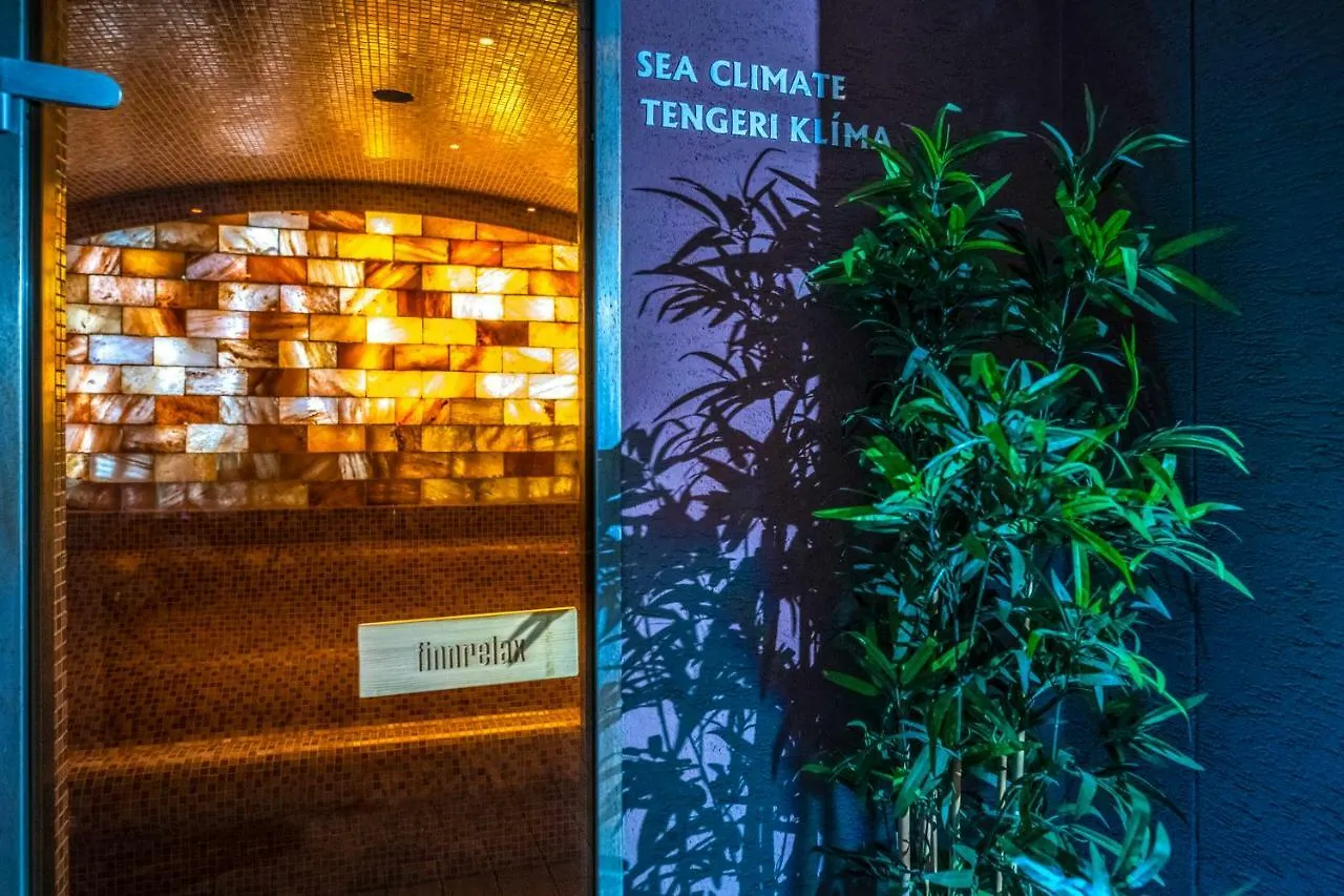**** 酒店 布达佩斯机场斯塔西奥高级健康及会议中心酒店 韦切什 匈牙利